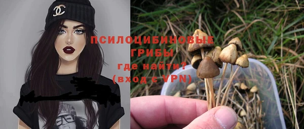 бошки Заволжск