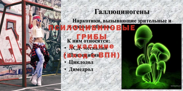 молекула духа Алексеевка