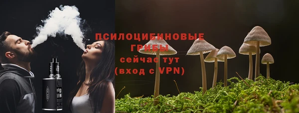 молекула духа Алексеевка