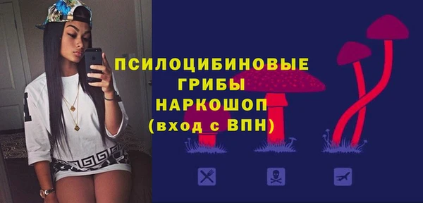 гидра Алексин
