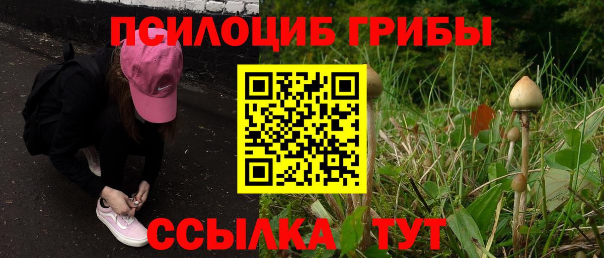 где найти наркотики  Вход с VPN  Ангарск  Галлюциногенные грибы GOLDEN TEACHER 